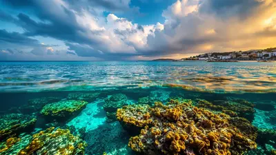 Lo que los biólogos marinos ocultan sobre los corales del Mediterráneo