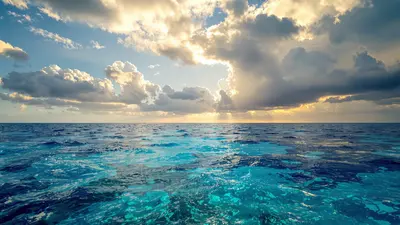 Quello che i biologi marini rivelano sui capodogli nel Mediterraneo