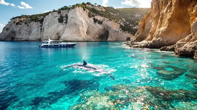 Quello che i marinai mediterranei sanno sulle balene che voi ignorate