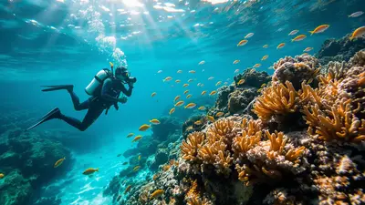 7 segreti che i professionisti usano per catturare la magia sottomarina mediterranea