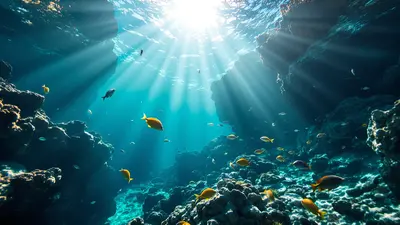 Quello che fanno i professionisti per riuscire nelle loro foto subacquee nel Mediterraneo