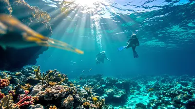 Quello che i professionisti fanno davvero per riuscire le loro foto subacquee nel Mediterraneo
