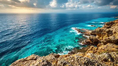 Ce que les biologistes découvrent sur les cachalots en Méditerranée